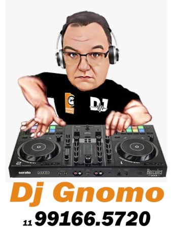 gnomo-eventos-dj-som-iluminacao-videoke-telao-big-4